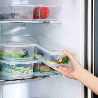 Fridge Storage Containers with Water Drain Plates